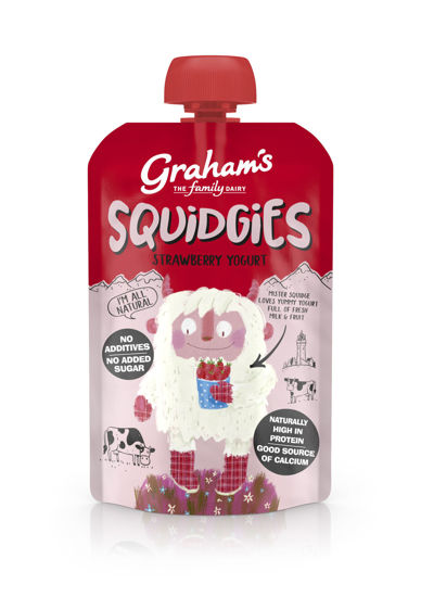 Picture of Graham's Squidgies Strawberry Yogurt 100g